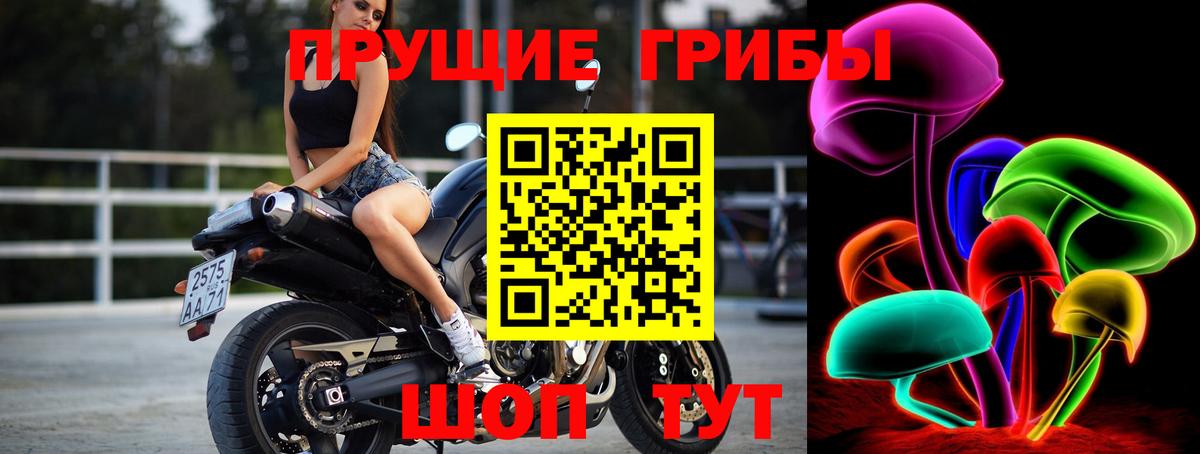 Галлюциногенные грибы Cubensis Туапсе